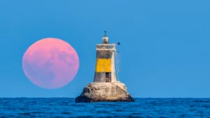 Sea Freight Bulgaria – Georgia