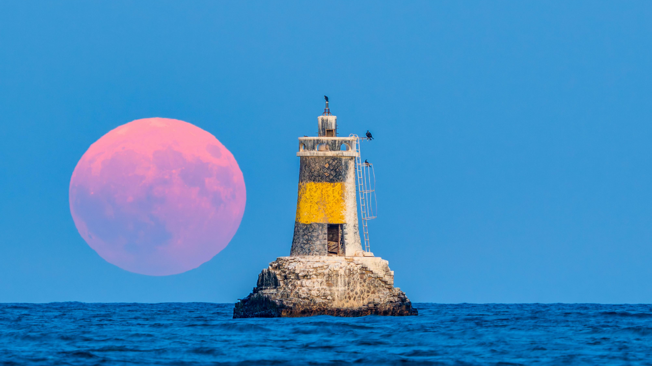 Sea Freight Bulgaria – Georgia